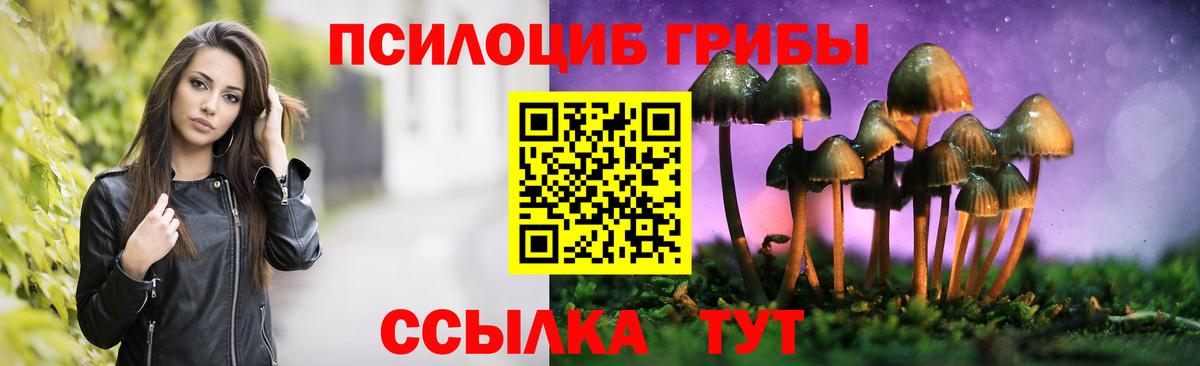 Ипатово  Псилоцибиновые грибы Psilocybine cubensis  Вход с VPN  Галлюциногенные грибы Psilocybine cubensis 