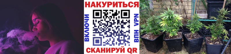 Канабис MAZAR  мега ссылки  Ипатово  купить закладку 